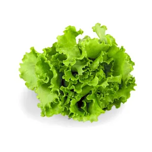 Certified Organic Green Leaf Lettuce (Each)