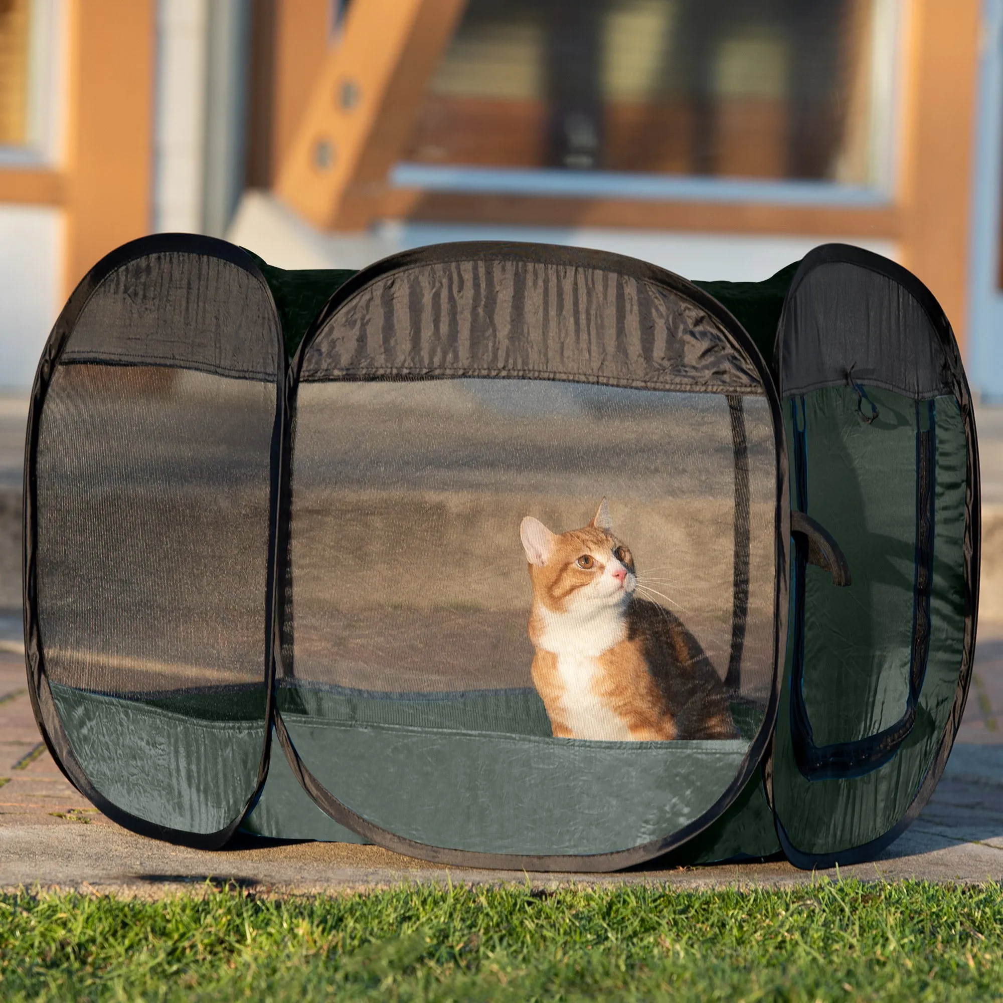 Portable Mesh Pet Playpen