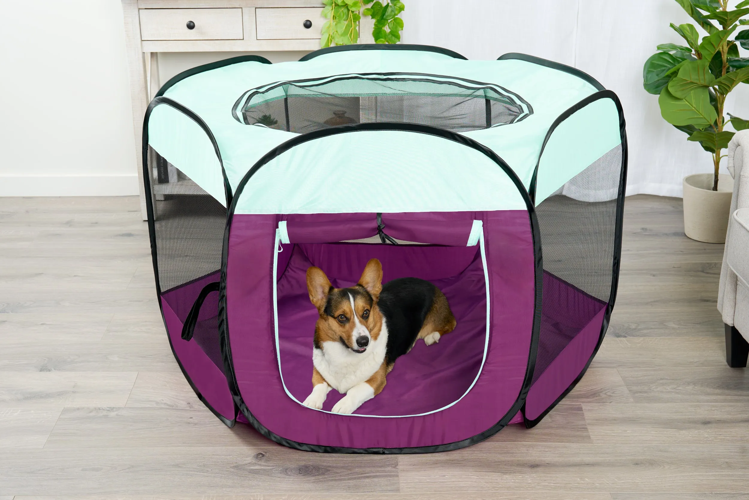 Portable Mesh Pet Playpen