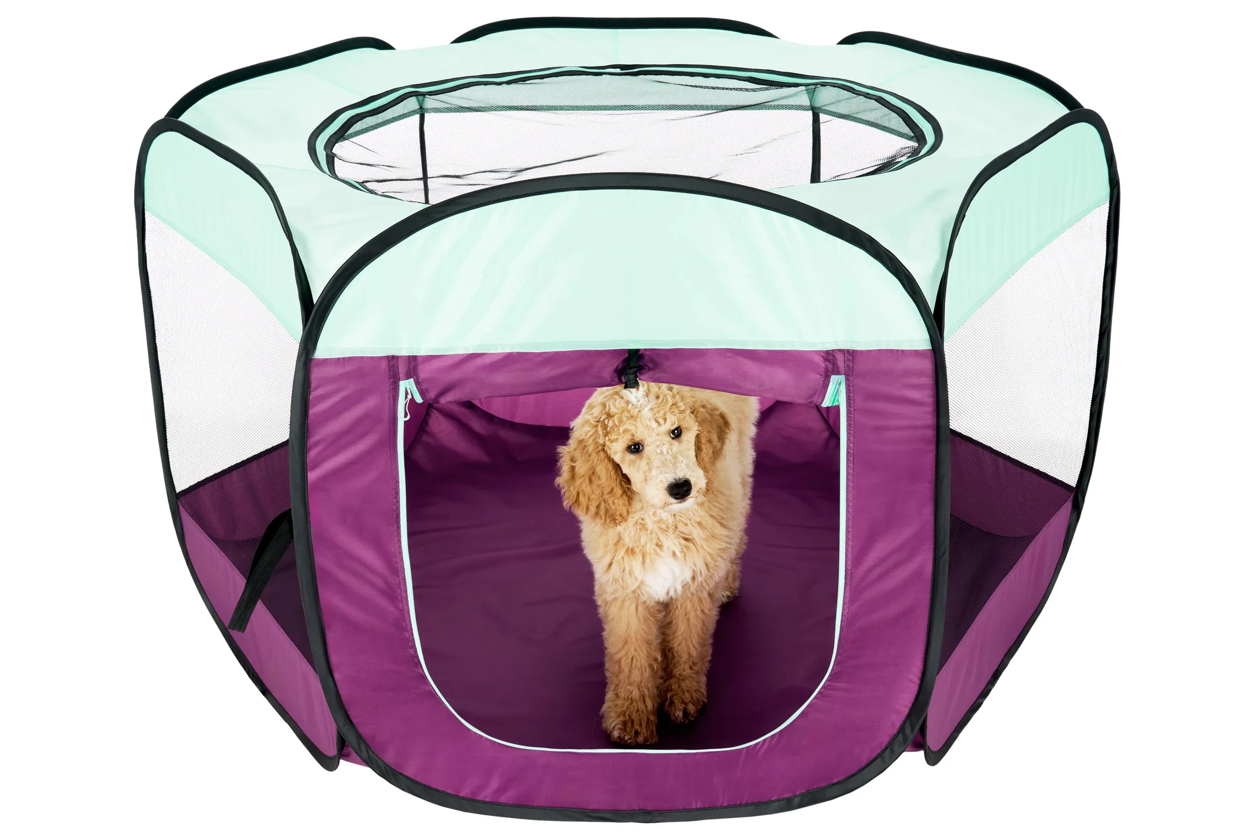 Portable Mesh Pet Playpen