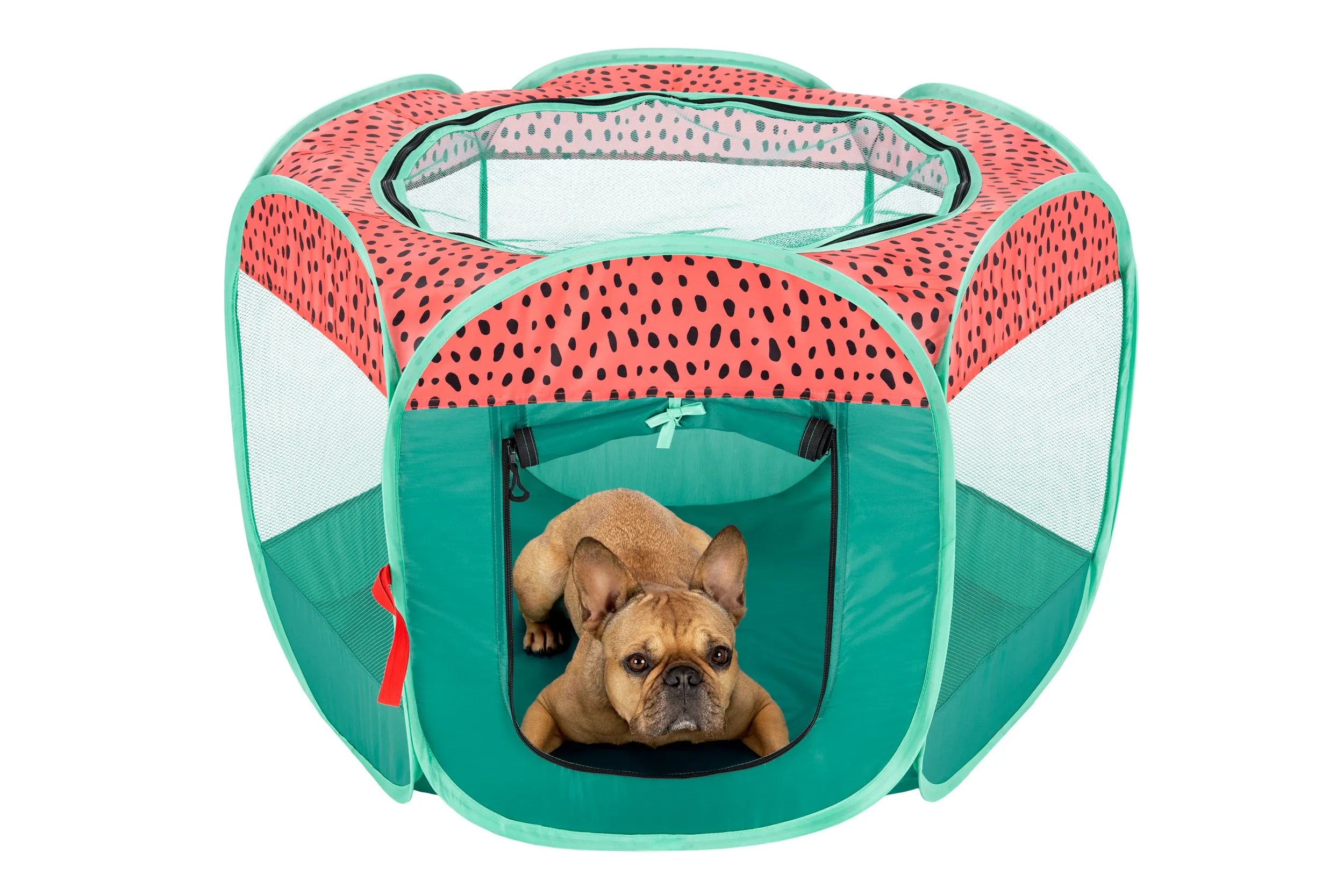 Portable Mesh Pet Playpen