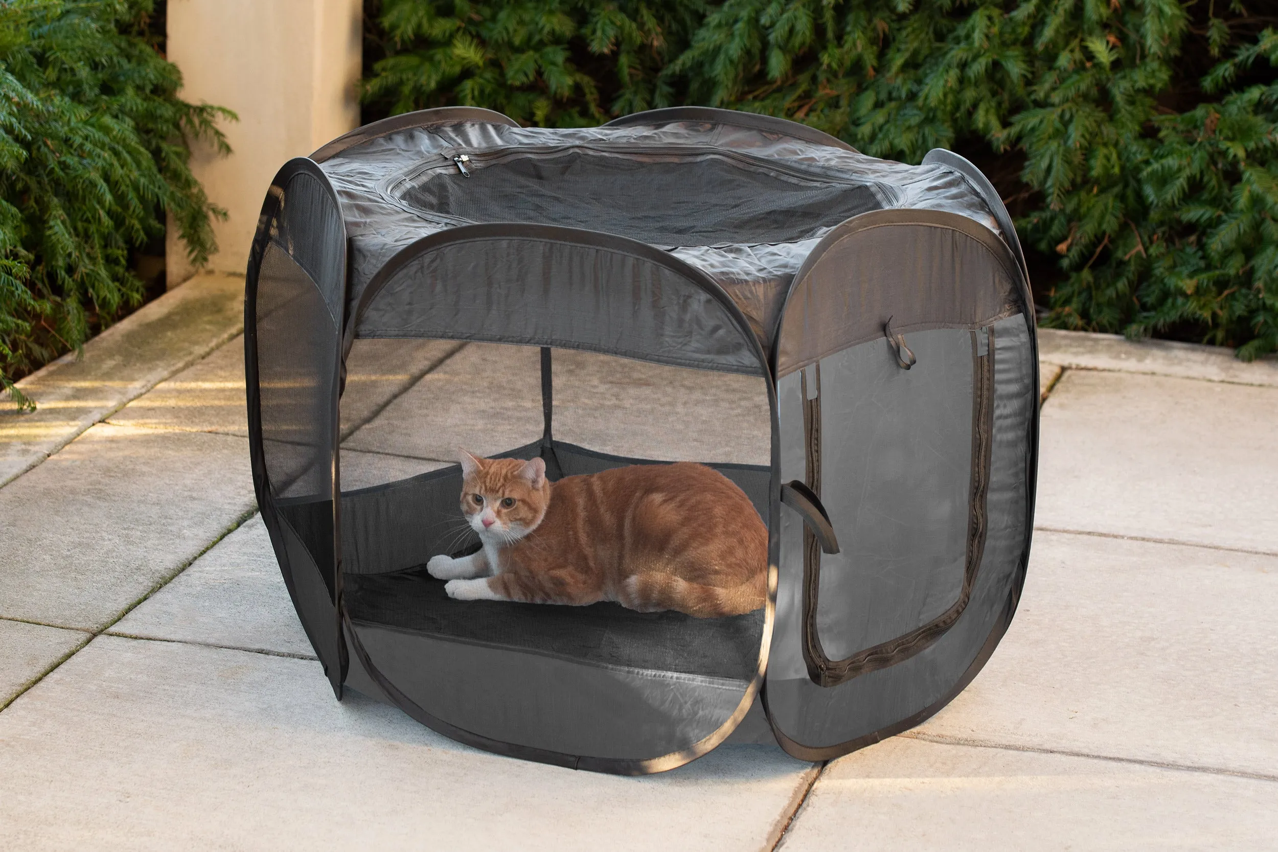 Portable Mesh Pet Playpen