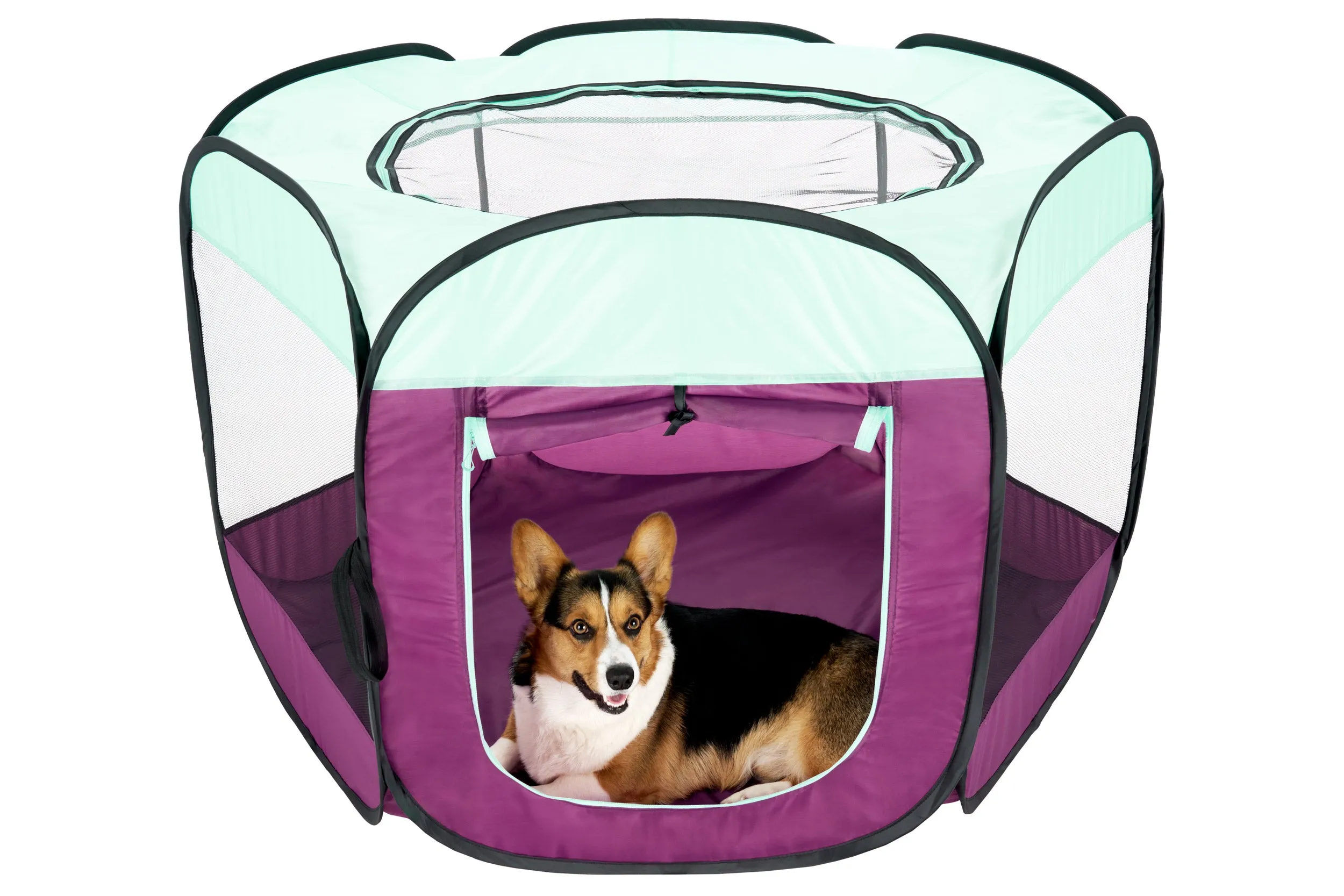 Portable Mesh Pet Playpen